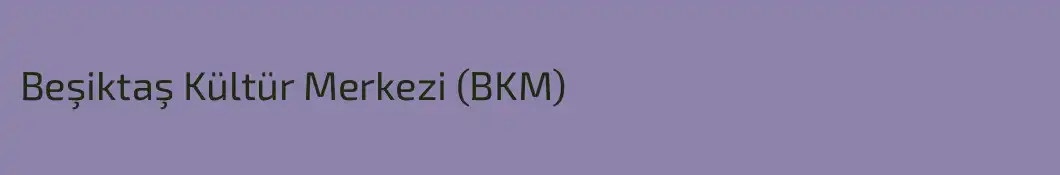 Beşiktaş Kültür Merkezi (BKM)